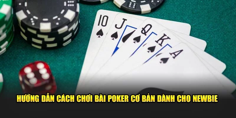 Hướng dẫn cách chơi bài poker cơ bản dành cho newbie Hướng dẫn cách chơi bài poker cơ bản dành cho newbie