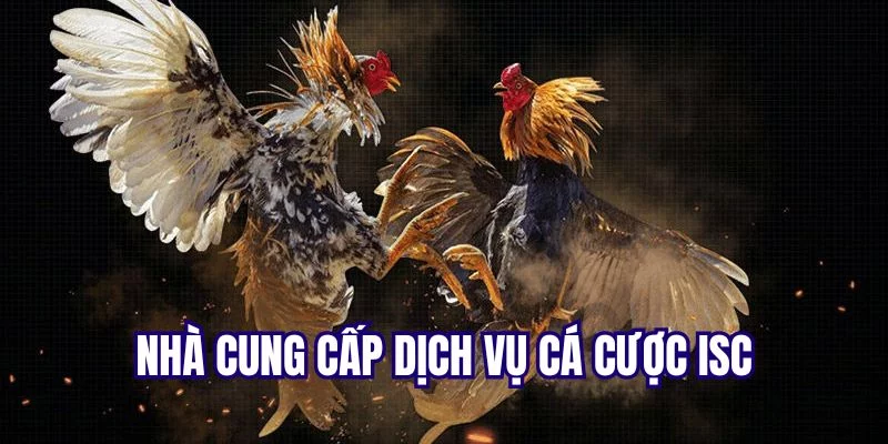 Nhà phát hành dịch vụ cá cược đá gà ISC Nhà phát hành dịch vụ cá cược đá gà ISC